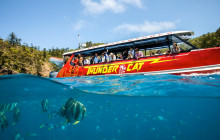 Great Barrier Reef Snorkel & Fly Combo Tour