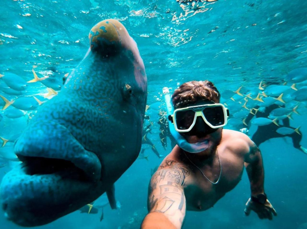 Thundercat Whitsundays All Inclusive Snorkeling Tour Airlie Beach