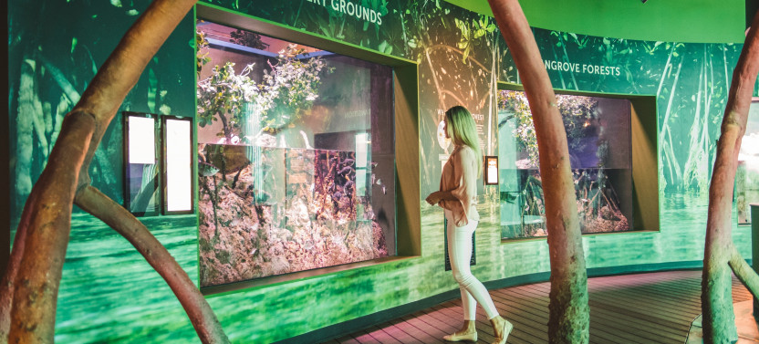 Admission to Cairns Aquarium - Home to more than 16,000 Aquatic Animals