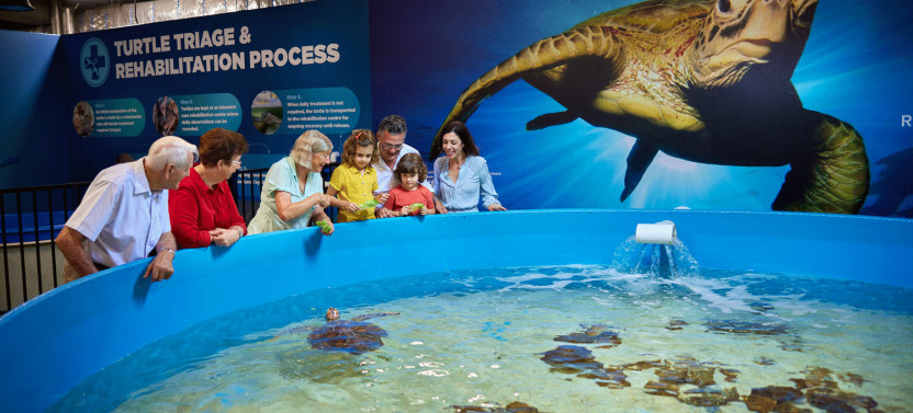 Cairns Aquarium General Admission & Turtle Hospital Tour