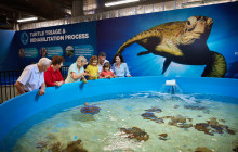 Cairns Aquarium and Reef Research Centre1