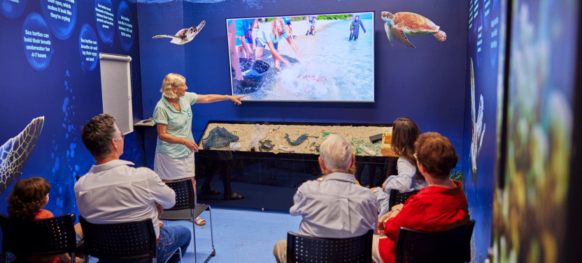 Cairns Aquarium General Admission & Turtle Hospital Tour