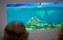 Cairns Aquarium and Reef Research Centre4