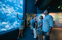 Cairns Aquarium and Reef Research Centre2