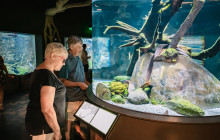 Cairns Aquarium and Reef Research Centre6