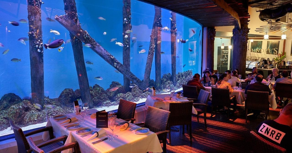 Exclusive After Hours Aquarium by Twilight Tour with 3 Course Dinner