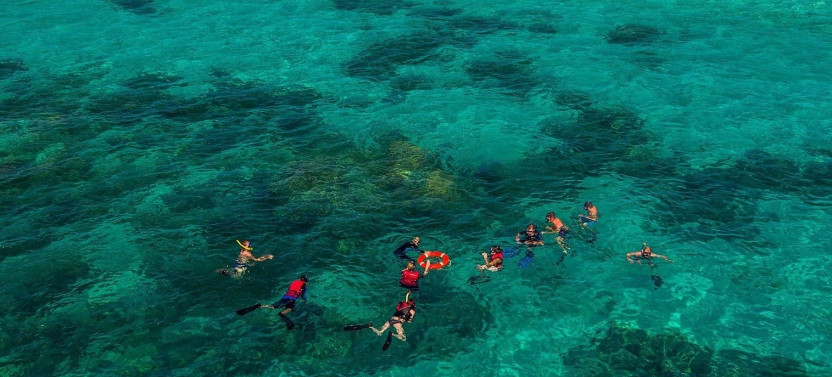 Ocean Free Sail to Green Island & The Great Barrier Reef