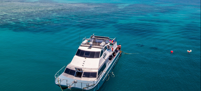 Ocean Freedom Cruise to Upolu Cay Reef & Outer Edge Upolu Reef