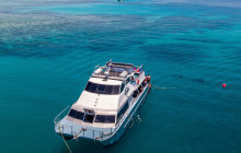 Ocean Free & Ocean Freedom Cairns Premier Reef & Island Tours2