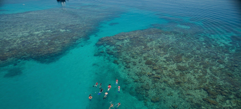 Ocean Freedom Cruise to Upolu Cay Reef & Outer Edge Upolu Reef