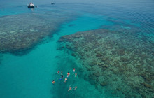 Ocean Free & Ocean Freedom Cairns Premier Reef & Island Tours3