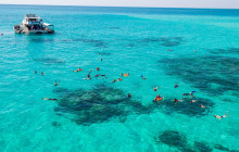 Ocean Free & Ocean Freedom Cairns Premier Reef & Island Tours5