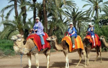 DesertBrise Travel5