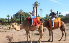 DesertBrise Travel6