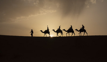 A picture of 3 Days - Marrakech to Fez With Stay in a Luxury Hotel & Camp