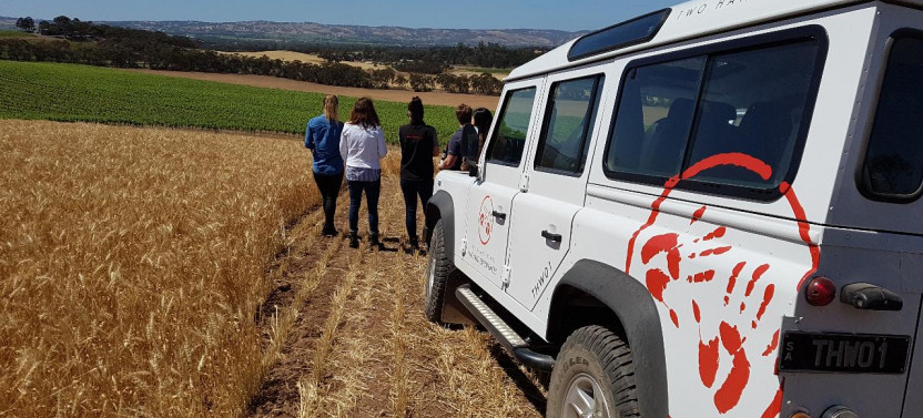 Barossa Shiraz Enthusiast - Private Tour