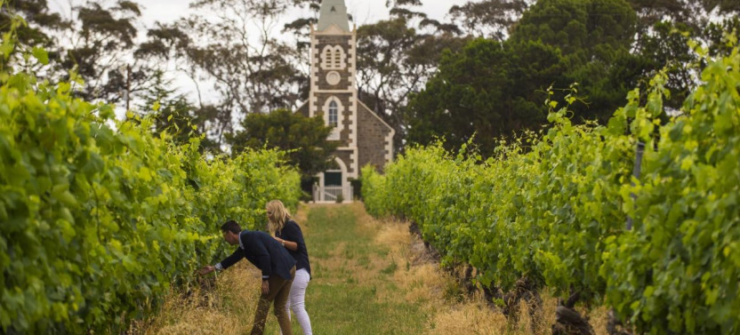 The Ultimate Private Wine Tour of the Barossa