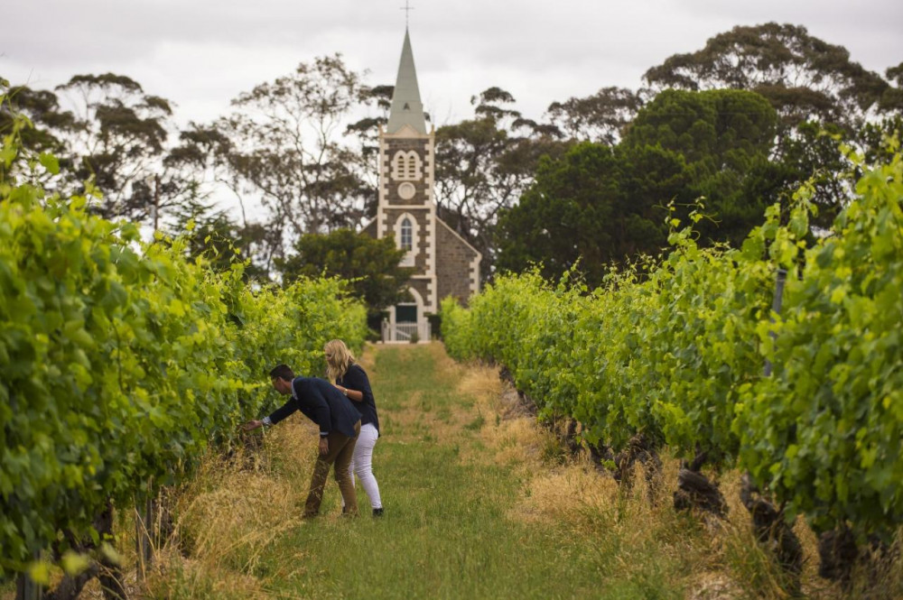 Penfold's & Henschke - The Ultimate Private Wine Tour of the Barossa