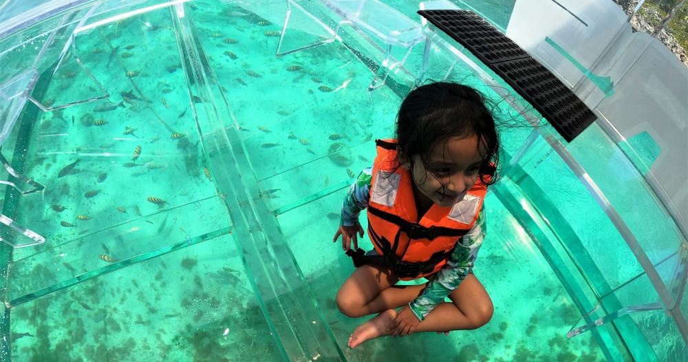 Private Reefs of The Island Clear Boat Tour