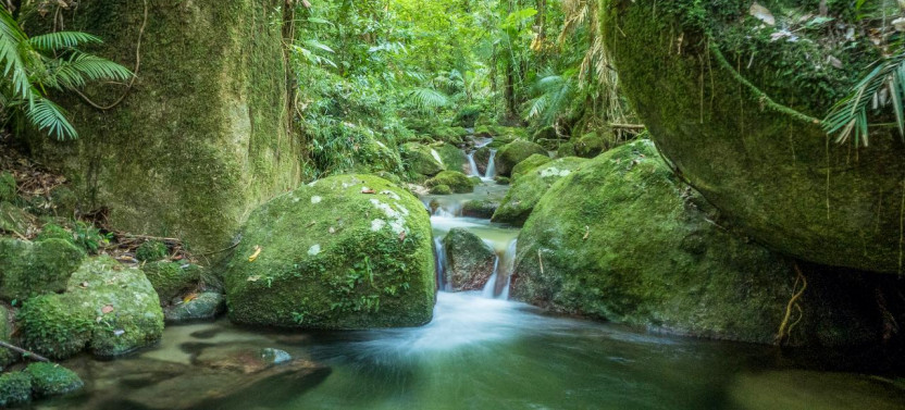 Mossman Gorge Adventure Day with River Drift Experience