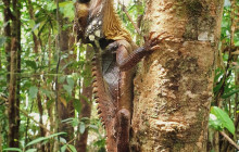 Back Country Bliss Adventures4