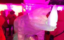 Ice Bar, Vino y Cena in Argentina