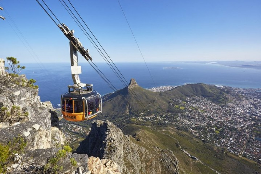 Private: Table Mountain, Penguins, Cape Peninsula & Stellenbosch Tour