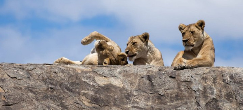 4 Days: Best Of Cape Town Private Trip