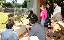 Itaipu with Wild Animals Eco Retreat and Itaipu Ecomuseum