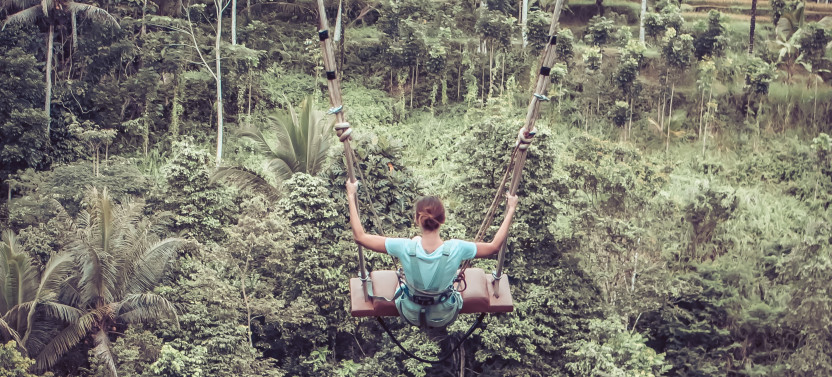 Private: Cape Canopy Zip Line Experience From Central Cape Town