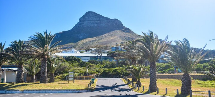 Half Day Boulders Beach Penguin Colony Tour from Cape Town