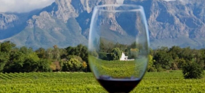 Private: Full Day Franschhoek Wine Tram & Stellenbosch Town Tour