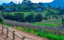 Stellenbosch And Franschhoek Winelands Tour