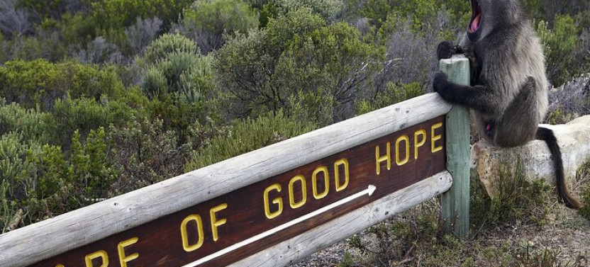 Full Day Cape Of Good Hope & Penguins Tour from Cape Town