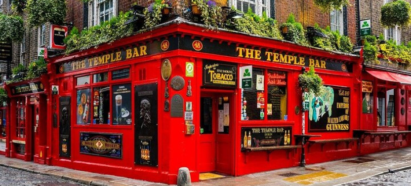 Dublin Private Walking Tour With A Professional Guide
