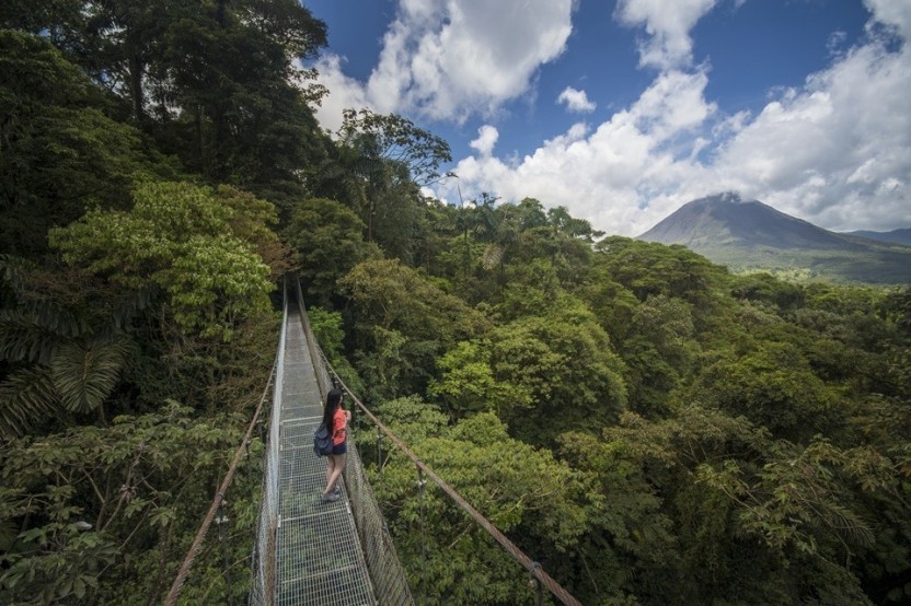 Rainforest & Cloud Forest Package