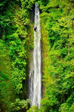Rainforest & Cloud Forest Package