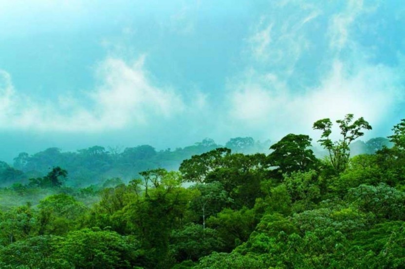Arenal Volcano Package: 4 Nights