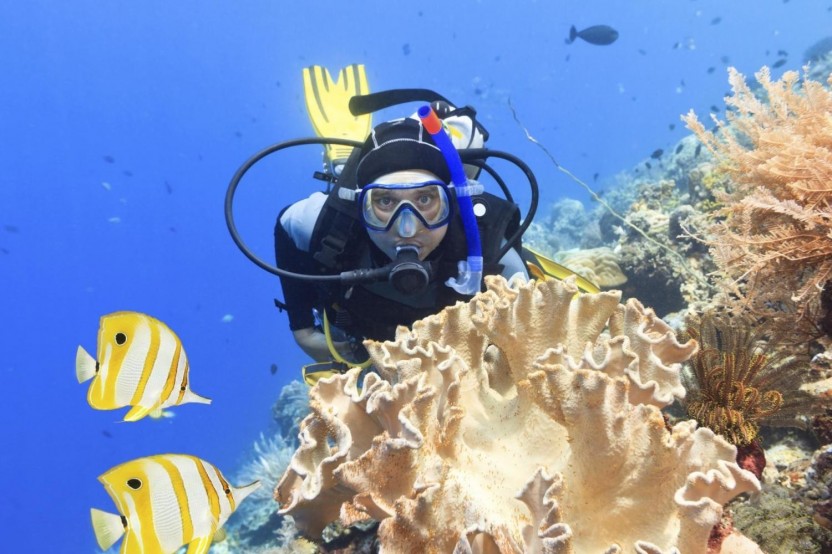 Paraty Bay Scuba Experience