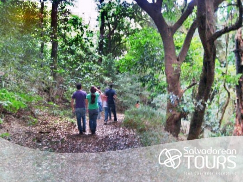 Santa Ana Volcano and Lake Adventure Hike (Ilamatepec)
