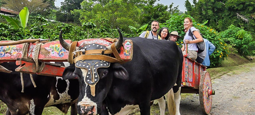 3-in-1 Monteverde Coffee, Chocolate and Sugar Cane Tour