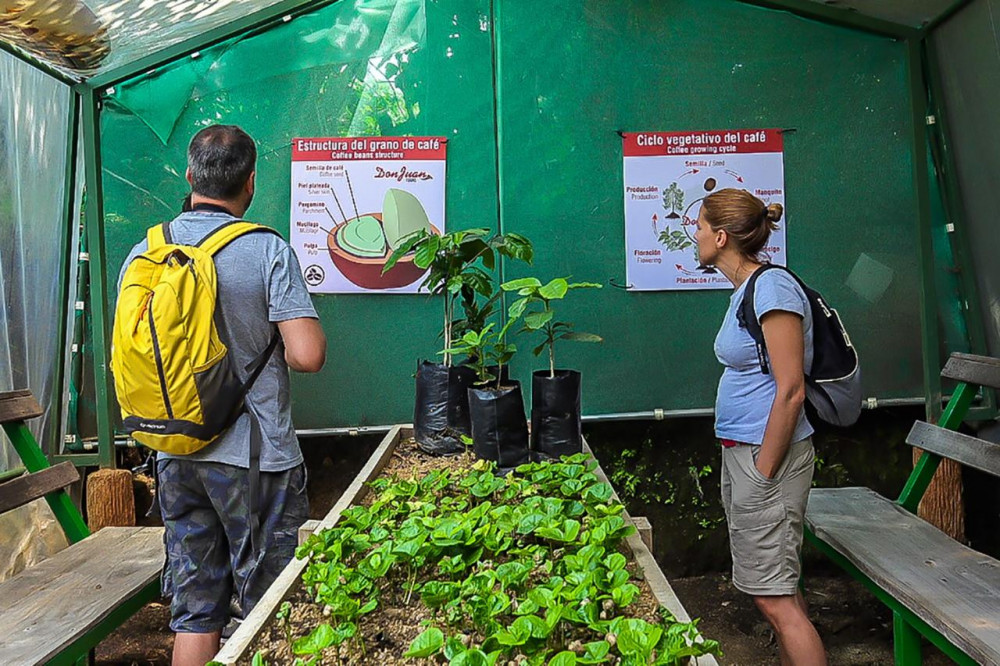 3-in-1 Monteverde Coffee, Chocolate and Sugar Cane Tour