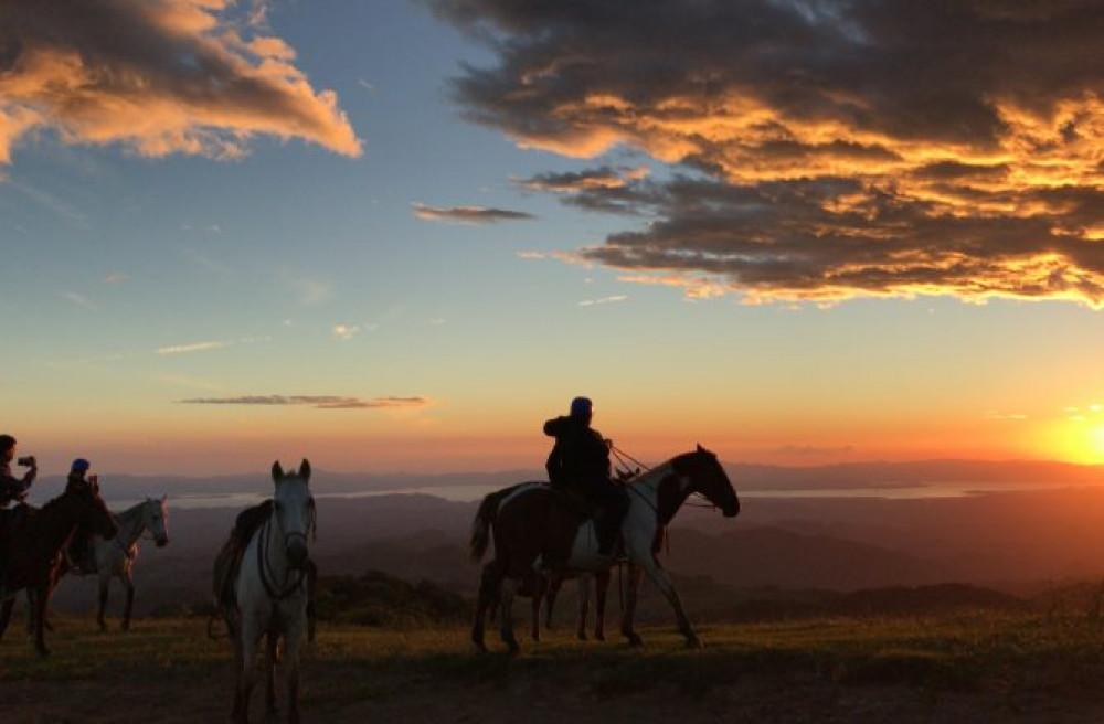 Monteverde Cloud Forest Horseback Riding