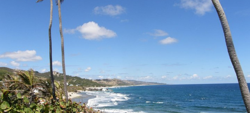 Barbados Island Paradise Sightseeing Shore Excursion