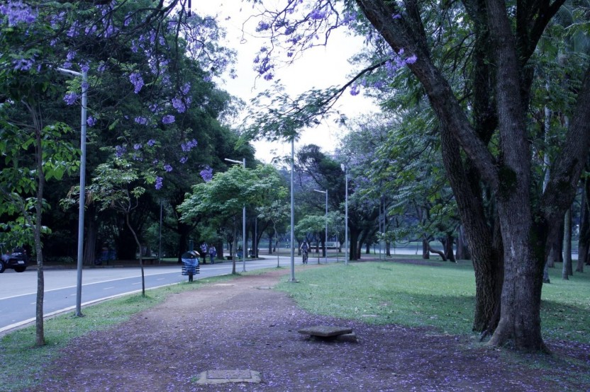 Customizable São Paulo City Tour - Private 8 Hours