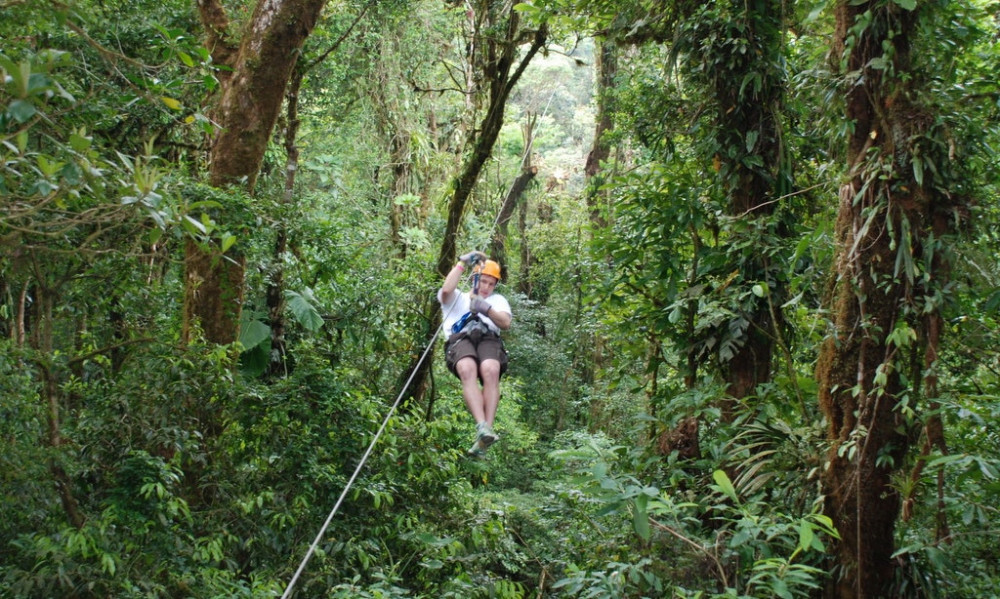 Ziplines, Bridges & Butterflies