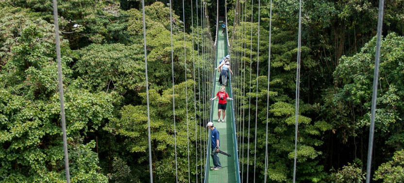 3-in-1 Sky Tram, Sky Trek and Sky Walk