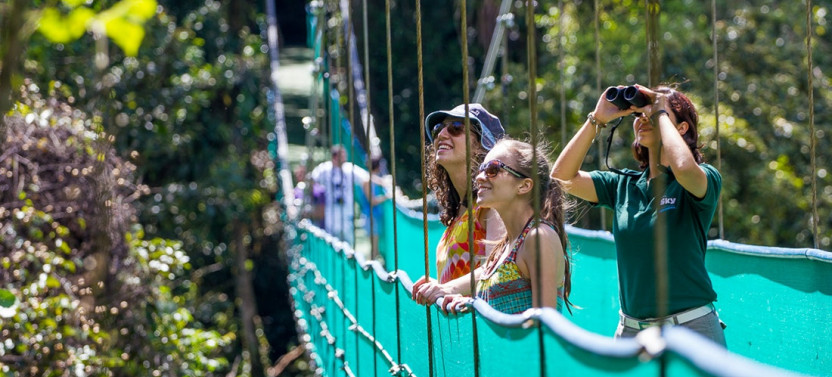 3-in-1 Sky Tram, Sky Trek and Sky Walk
