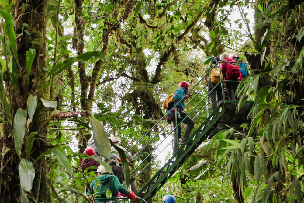 5-in-1 Monteverde Cloud Forest Zip Lines, Treetop Bridges, Butterfly Garden