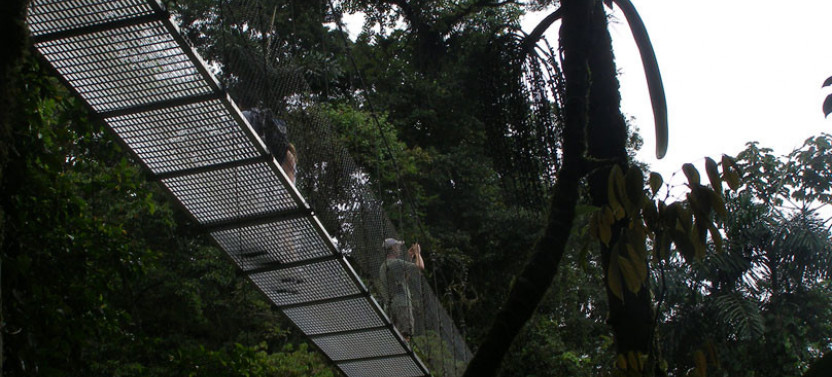 Arenal Volcano National Park Highlights | Day Tour